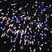 Салют-компания (0,8" х 28)